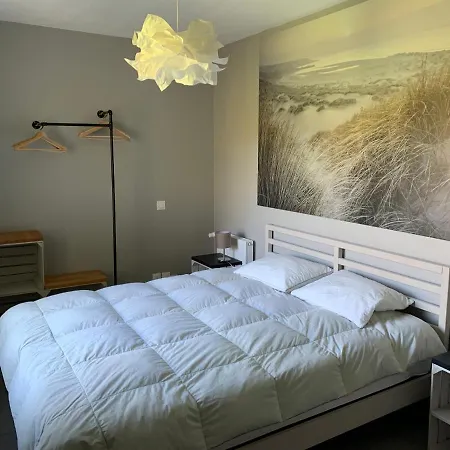 Sur Le Chemin Des Phoques *