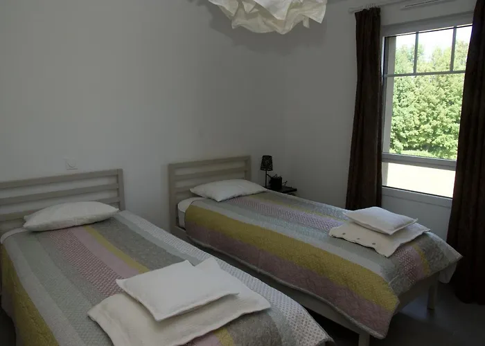 Sur Le Chemin Des Phoques